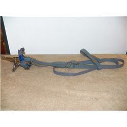 Blue Leather Headstall with Snaffle Bit