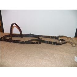 Brown Leather Headstall with Curb Bit