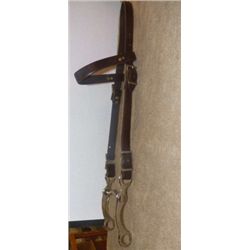 Brown Leather Headstall with Curb Bit