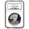 Image 1 : Certified Proof Silver Eagle PF69 (Date of our choice)