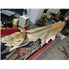 Image 1 : KANGAROO HIDE