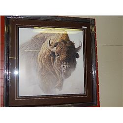 FRAMED PRINT  CHIEF BISON - ROBERT BATEMAN