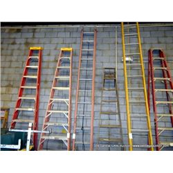 WERNER 36' LADDER