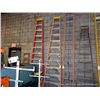 Image 1 : WERNER 12' STEP LADDER
