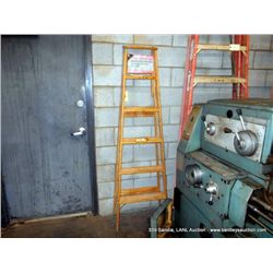 DAVIDSON DIXIE-16 6' STEP LADDER