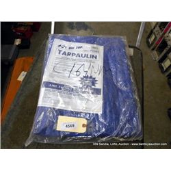 BIG TOP 8'6" X 11'4" TARP