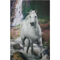 Beautiful white horse landscape