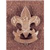 Image 1 : ANTIQUE BSA-BOYSCOUTS OF AMERICA MEMBERSHIP MEDAL 1911