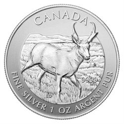 Canadian Silver 1 oz Antelope