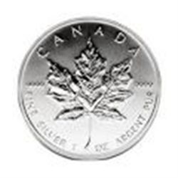 Canadian Silver Maple Leaf (Date of our choice)