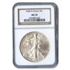 Image 1 : Burnished  Silver Eagle MS70 NGC