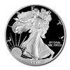Image 1 : Proof Silver Eagle 1991-S