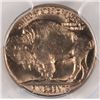 Image 3 : 1938-D BUFFALO NICKELS PCGS MS66