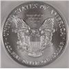 Image 3 : 2002 SILVER AMERICAN EAGLE ICG MS69