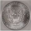Image 3 : 2003 SILVER AMERICAN EAGLE ICG MS69