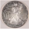 Image 1 : 1999 AMERICAN SILVER EAGLE, BU