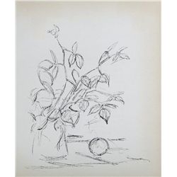 Alberto Giacommetti "Pomme Endormie"