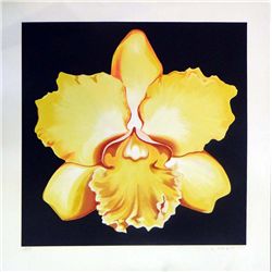 Lowell Nesbitt "Yellow Iris"