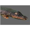Image 6 : Wood Carved Alligator, Native American   (Size:  See