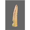 Image 4 : Ivory Tusk with Male Portrait, African   (Size:  See