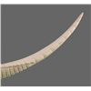Image 4 : Ivory tusk carved alligator   (Size:  See Last Photo