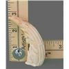 Image 6 : Pair of Baby Walrus Ivory (Erotic)   (Size:  See Last