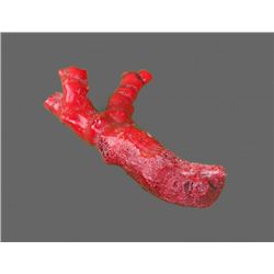 Large Red Coral   (Size:  See Last Photo for
