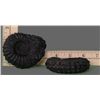 Image 5 : Pair of Fossils   (Size:  See Last Photo for