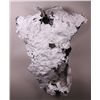 Image 2 : Torso Sculpture.  Signed.  [11 (lb),24 (in),18 (in),6.5
