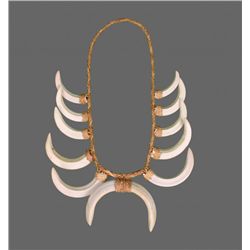 Native American Wild Boar Tusk Necklace.   Comes with
