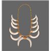 Image 1 : Native American Wild Boar Tusk Necklace.   Comes with
