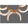Image 3 : Native American Wild Boar Tusk Necklace.   Comes with
