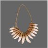 Image 1 : Native American Crocodile Tooth Necklace.   Comes with