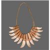 Image 2 : Native American Crocodile Tooth Necklace.   Comes with