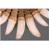 Image 3 : Native American Crocodile Tooth Necklace.   Comes with