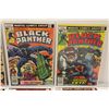 Image 3 : BLACK PANTHER #1-14 COMPLETE RUN (1977-79) COMPLETE SET OF THE KIRBY BRONZE AGE CLASSIC (ONLY
