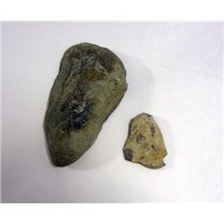 2- Mollusc Fossils Ohio Origin