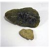Image 2 : 2- Mollusc Fossils Ohio Origin