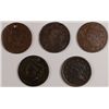 Image 1 : 5 LOW GRADE LARGE CENTS