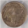 Image 2 : 1913 T2 BUFFALO NICKEL PCGS MS62
