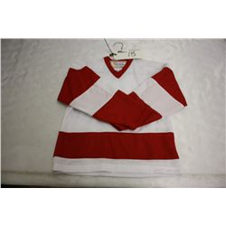 LOT OF 133 WHITE DETROIT JERSIES