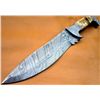 Image 1 : Huge Custom Made Damascus Steel Bowie Knife