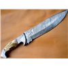 Image 2 : Huge Custom Made Damascus Steel Bowie Knife