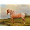 Image 1 : J.W. COLE Roan Gelding