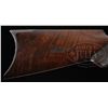 Image 10 : RARE DELUXE ENGRAVED WINCHESTER MODEL 1876 EXPRESS LEVER ACTION RIFLE.