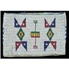 Image 1 : NATIVE AMERICAN BEADED POUCH.