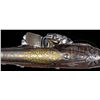Image 5 : VERY FINE PAIR OF SILVER MOUNTED GOLD DECORATED OTTOMAN FLINTLOCK PISTOLS, CIRCA 1790.