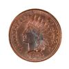 Image 1 : 1895 INDIAN HEAD CENT MS65 TONED