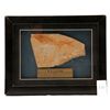 Image 1 : Early cretaceous period fish fossil