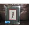 Image 1 : Framed west coast native print titled feather by